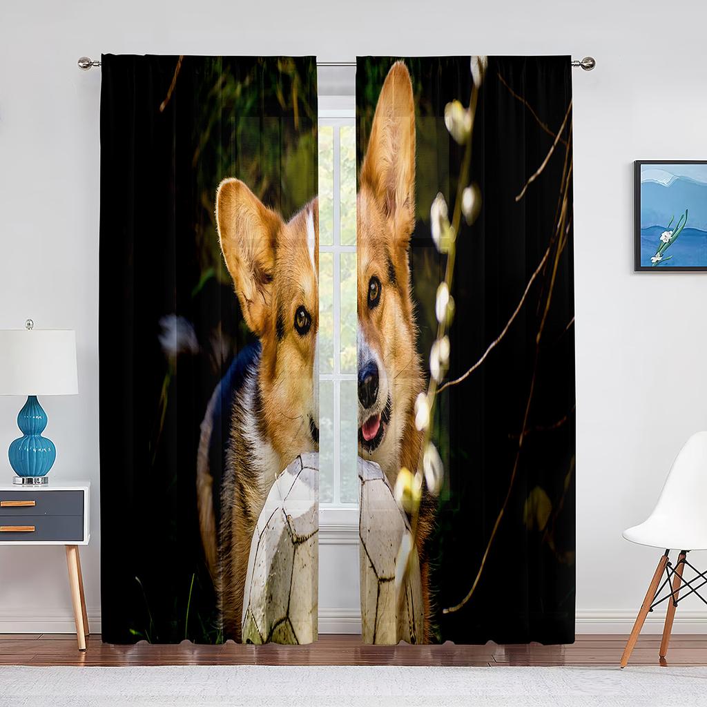 Corgi In The Flower Field Puppy Dog Sheer Curtains Window Treatment for Kitchen Living Room Bedroom Decor Modern Tulle Curtains