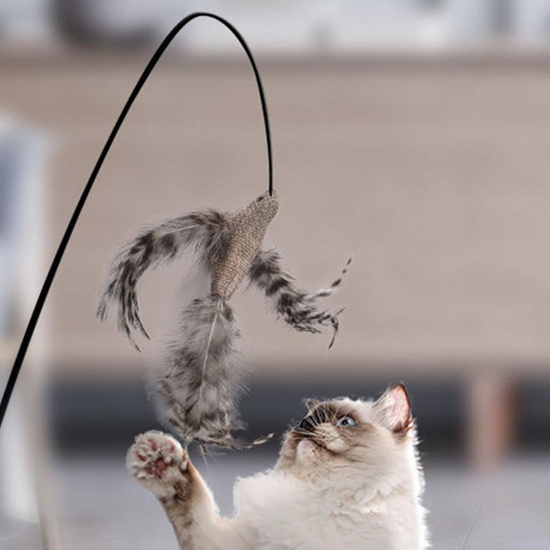 interactive bird toy for cats