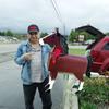 Metal Animals Post Box Weatherproof Horse Cow Chicken Shape Mailbox Accessories Yard Garden Decor Ornament Outdoor Decoration