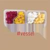 Disposable Rectangular Food Storage Containers