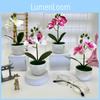 Butterfly Orchid Artificial Potted Plant For Wedding Decor And Photography Props