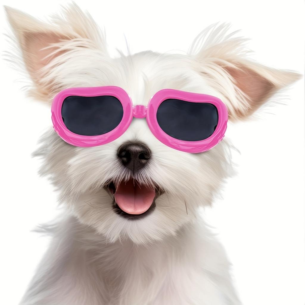 Anti-Fog Windproof Pet Dog Windproof Goggles, Protective Glasses For Dogs Sunglasses