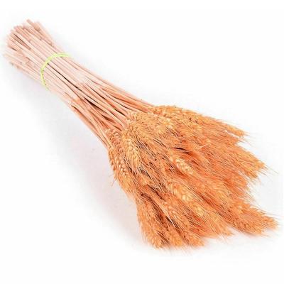 20/25pcs/set Natural Wheat Ear Barley Dried Flowers Bouquet For Wedding Party Decoration DIY Craft Wheat Bouquet Room Decoration