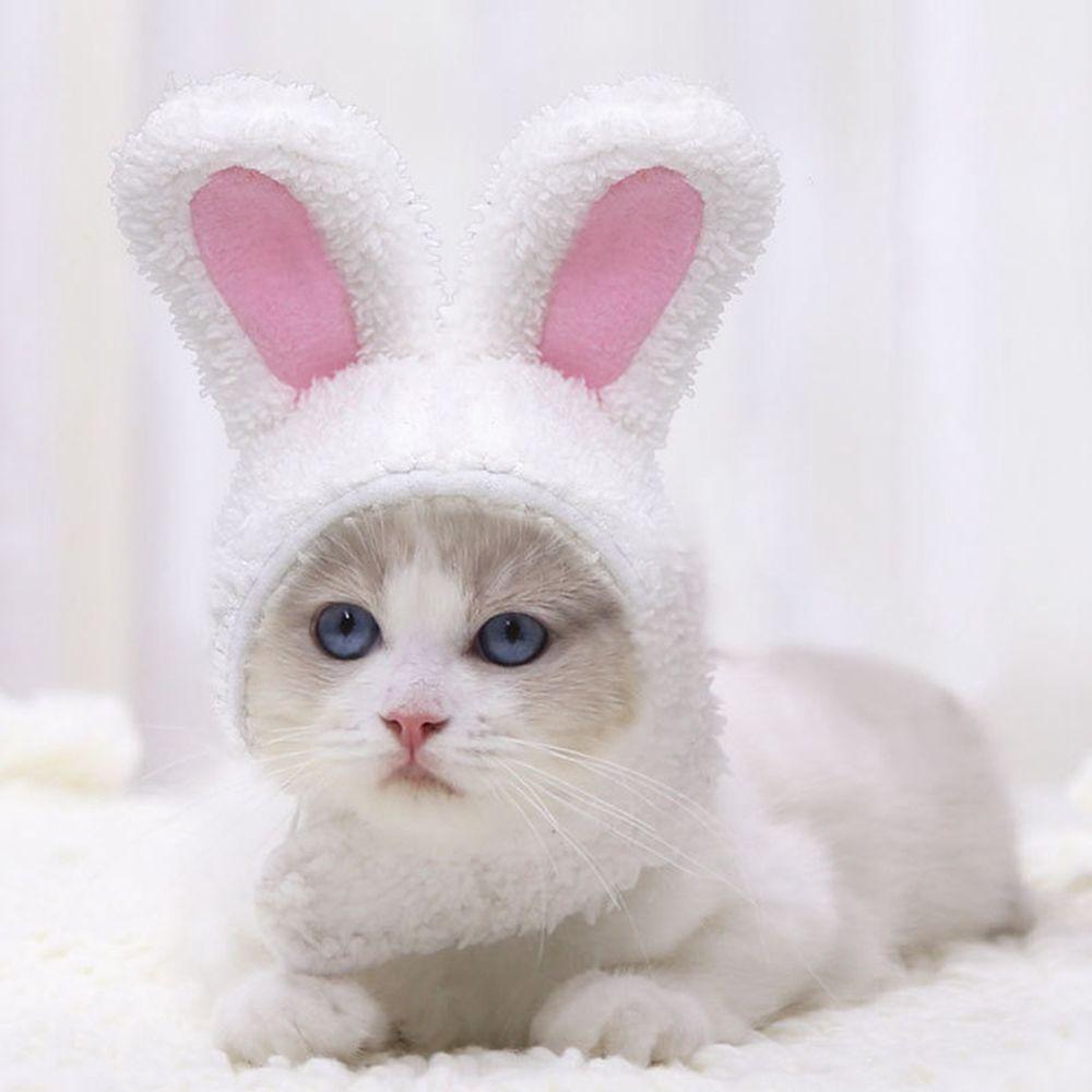 Party With Ears Cosplay Cat Headwear Pet Accessory Rabbit Hat Cat Costume