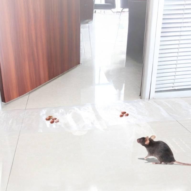 Invisible Transparent Mouse Trap Mat For Catching Rodents In Home Use Strong Adhesive Sticky Pad For Rat Control X 28cm)