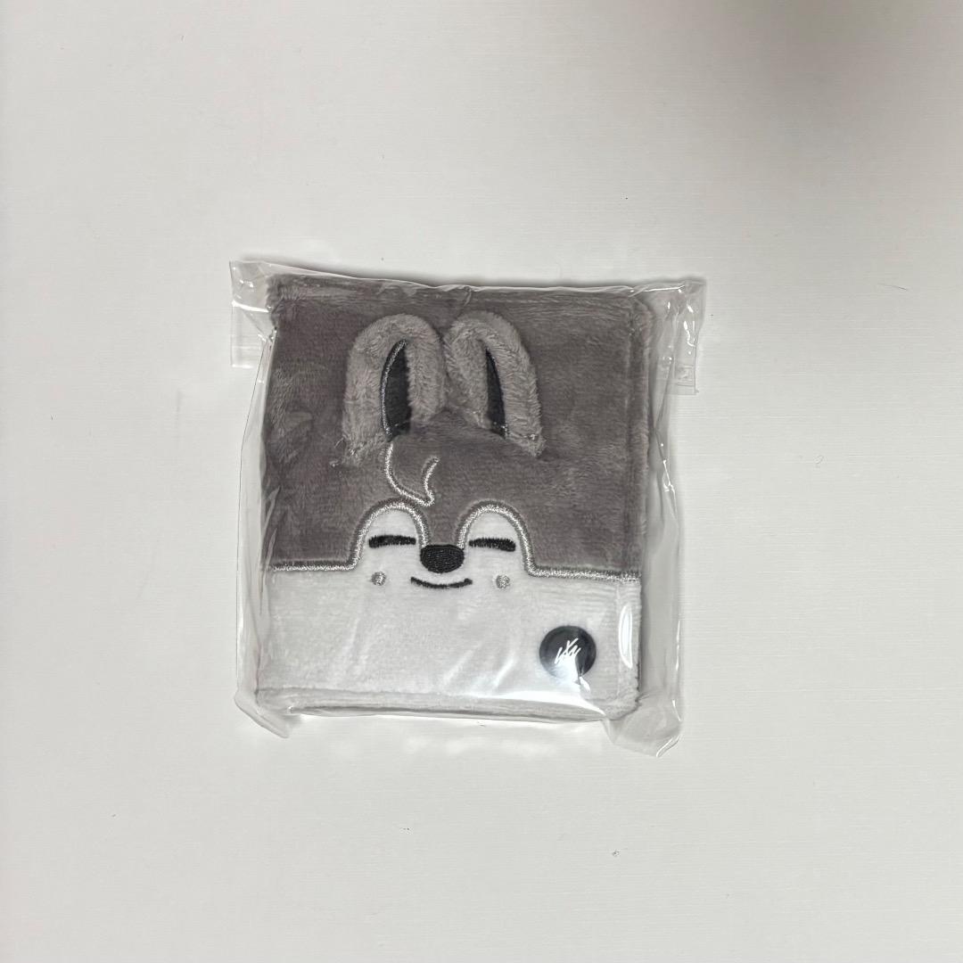 

[USED] Stray Kids Bang Chan Wolf Chan Photo Card Case