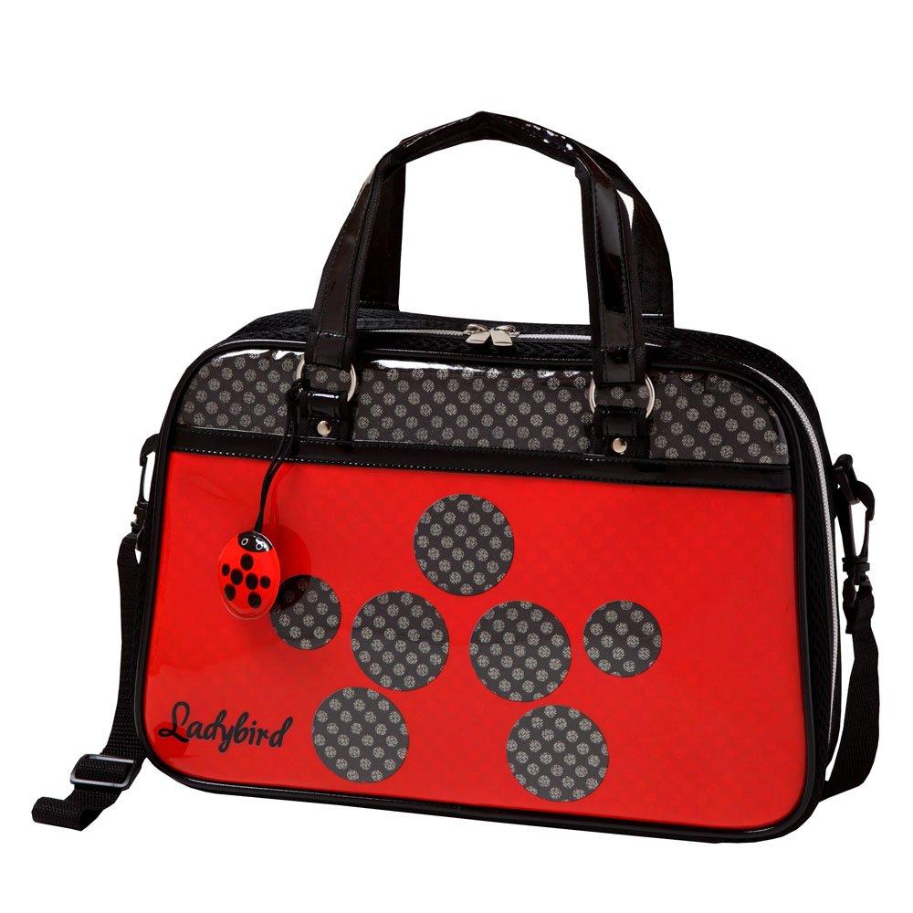 Akashiya Calligraphy Set Ladybird AF50-LB
