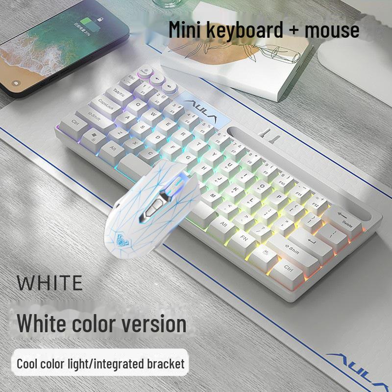 AULA Wolf Spider F3061 Mini 61-Tasten RGB Kabelgebundene Tastatur