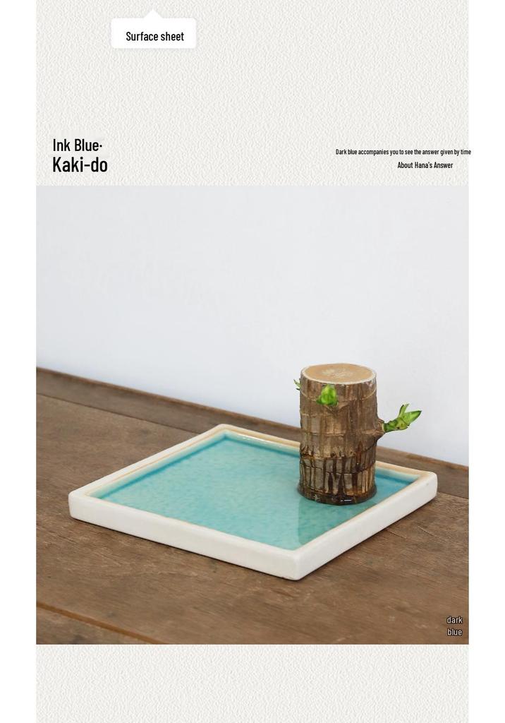 Brazilian Rosewood Square Ceramic Shallow Dish for Indoor Decor