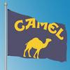 wCamelsLogo Flags Room Decor Outdoor Decors Personalized Items Flags For Bedrooms Home Funny