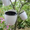 Hanging Self Watering Planter Flower Pot with Water Reservoir Wick Ropes