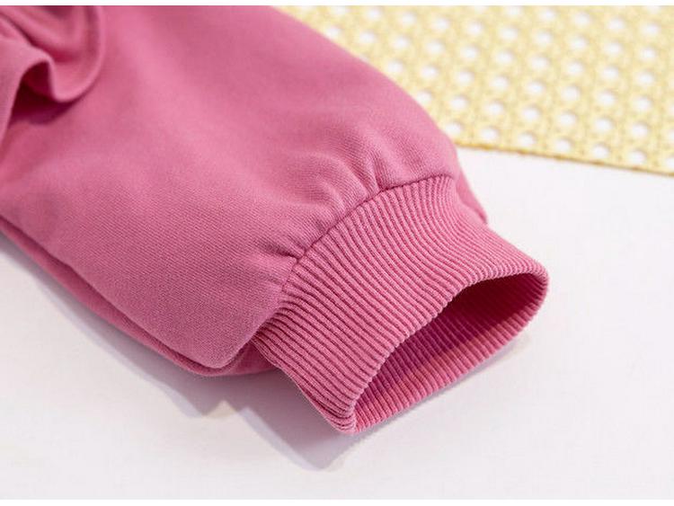 New Cute Baby Girl Heart Pullover: Spring/Autumn Princess Sweatshirt