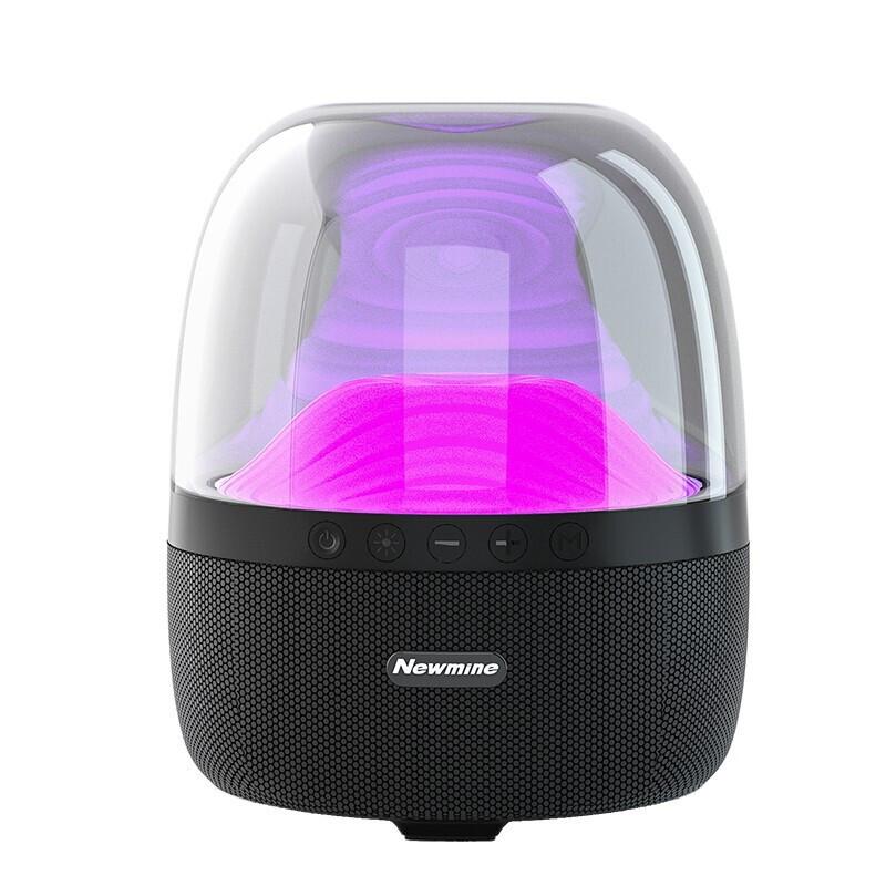 Newman BT58 Portable Wireless Bluetooth Speaker