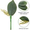 2 Pcs Orchid Leaves Artificial Real Touch Faux Phalaenopsis Stems Leaf 8 Inches Green Leaf Plants Fake Cymbidium Flower Foliage Green Real Touch