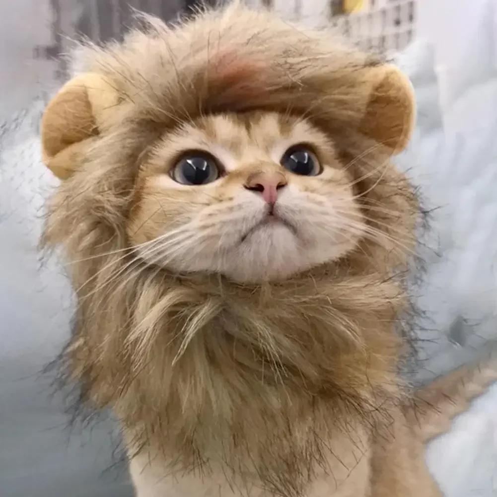 1PC Decorative Pet Hat Soft Lightweight Lion-style Hats Breathable Pet Hood Adorable Pet Photography Props Cat Costume Cosplay