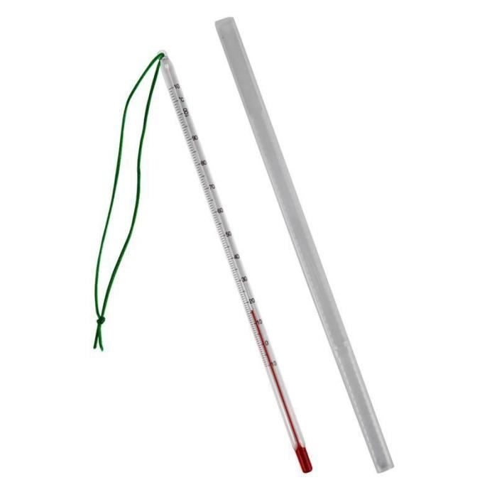 Thermomètre À Thé - Verre - Longueur 240 Mm - D 7 Mm - Plage Jusqu'à 110 °C