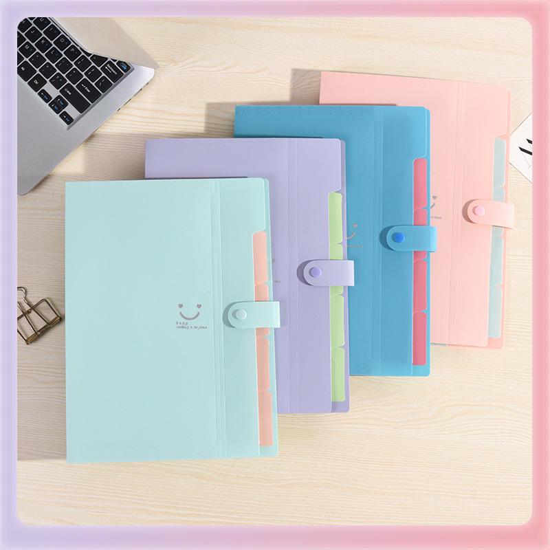 

Многослойная папка-гармошка формата А4 конфетных цветов, набор из 5 штук Smile Accordion Bag - Sky Blue