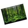 PVC Adhesive Underwater Forest Tank Background Poster Backdrop Decoration Paper