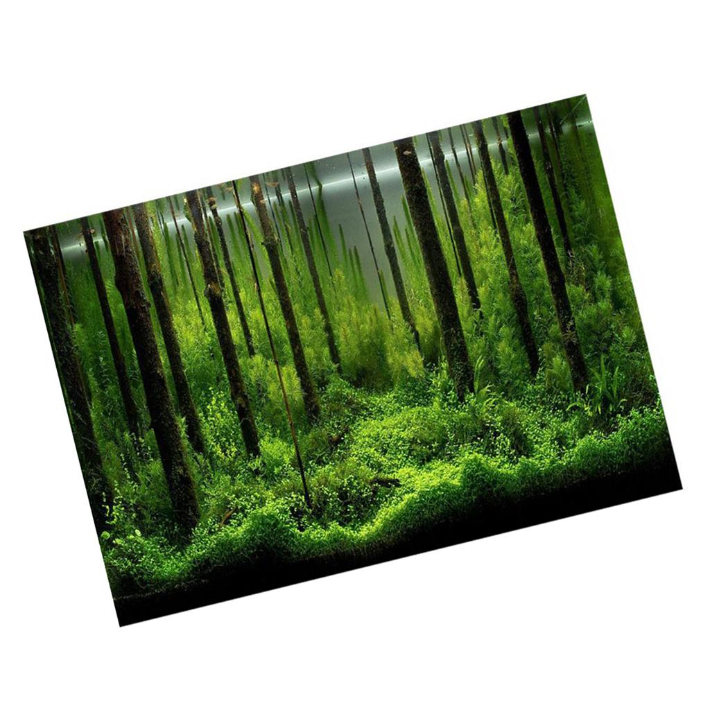 PVC Adhesive Underwater Forest Tank Background Poster Backdrop Decoration Paper