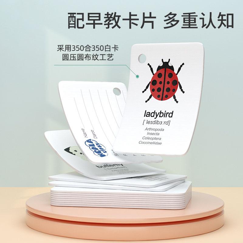 Jucării de exterior Observator de insecte Copii Aventura Experiment științific Telescop Lupă Explorează Jucării de grădiniță