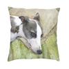 Italian Greyhound Cushion Covers 45x45cm Velvet Whippet Sihthound Dog Throw Pillow Case for Sofa Square Pillowcase Home Decor