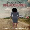 Picking Up Breadcrumbs by Ursula Hughes Hardback Book 9781737917816