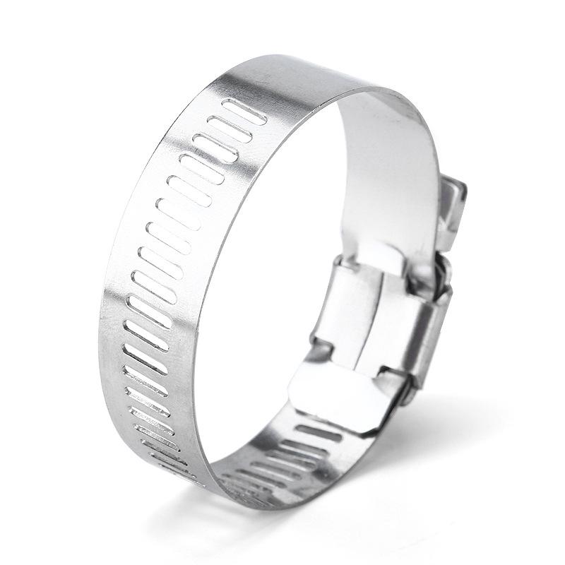 304 Stainless Steel Hose Clamp Set, 100 PCS