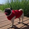 Casual Style Thicken Winter Dog Coat Soft Comfortable Dog Fleece Jacket with Zipper Dog Warm Vest Outdoor Activities