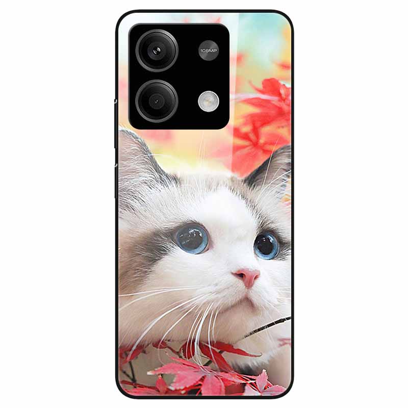 For Redmi Note 13 Pro 5G Case Tempered Glass Hard PC Phone Back Cover for Xiaomi Redmi Note13 5G Note 13Pro 5G Funda Shell Coque