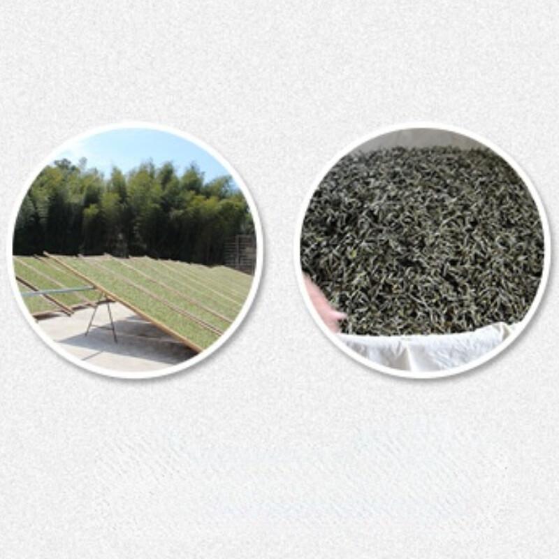 Top Grade 2010 Shou Mei White Tea Cake 350g Fuding Aged Tea Wellness Benefits