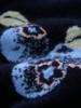 2025 Autumn/Winter Women's Round Neck Blueberry Jacquard 100% Pure Cashmere Sweater