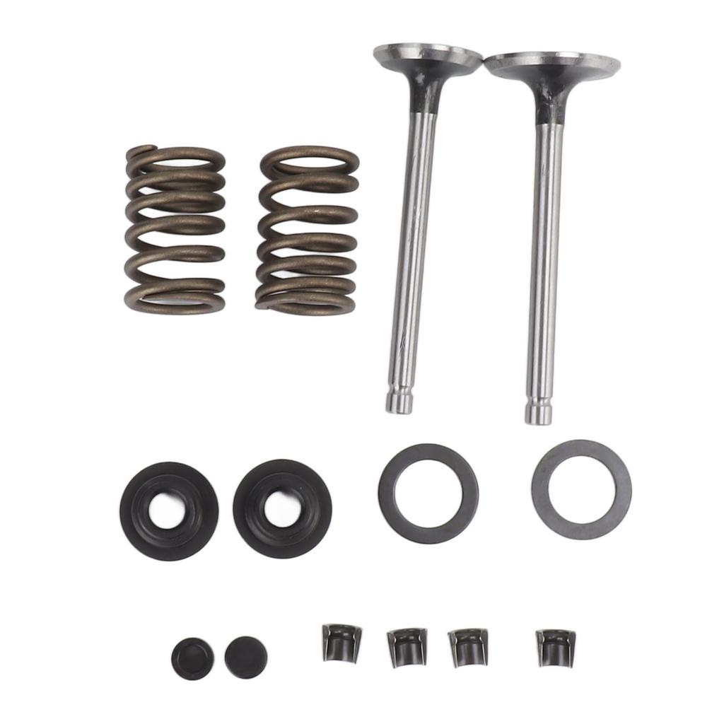 Microtiller Valve Parts Iron Wear Resistant Anti Corrosion Spring Washer Locking Clip Set for Generator