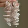 Korean Chiffon Flower Tassel Earrings: High-End Pearl Design with Niche Fashion Appeal.