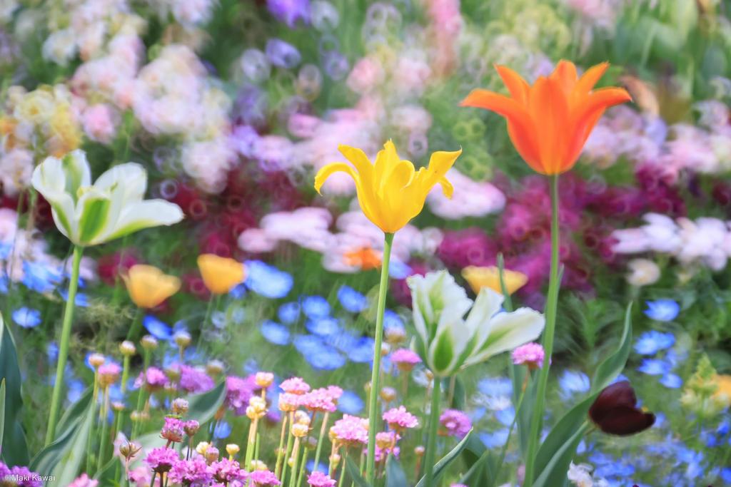 Tokina SZX Super Tele 400mm Reflex MF Telephoto Mirror Micro Four Thirds Manual Interchangeable Product Number 634745 f/8 Lens, Mount, Focus, Mount,