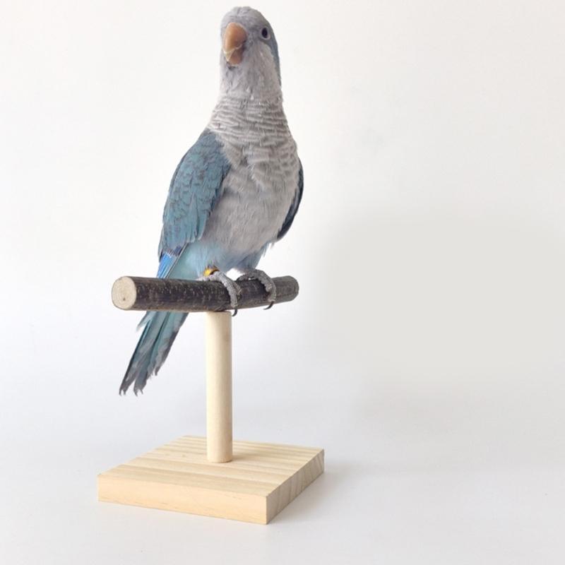 Bird Perch Nature Stand for Parrots Conure Supplies Budgies Stand Scratchers for Small Parrots Rack Toy