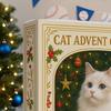 Kattejulekalender 24 Dager Nedtellingskalender til Jul Søte Akryl Kattungepynt Juledekor for Katteelskere