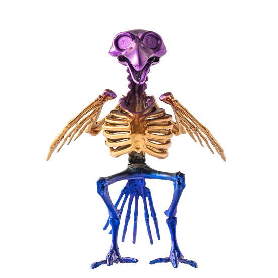 Halloween Skeleton Animal Decoration Creepy Cat/Dog/Bird/Rat/Goat Head Plastic Bones for Courtyard Graveyard Halloween Decor