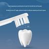 Replacement Electric Toothbrush Heads for Xiaomi/Mijia (6-Pack)