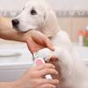 Dog Nail Clippers Comfortable Ergonomic Nail Cutter With LED Light Pet Products & Grooming Supplies For Guinea Pigs Gerbils