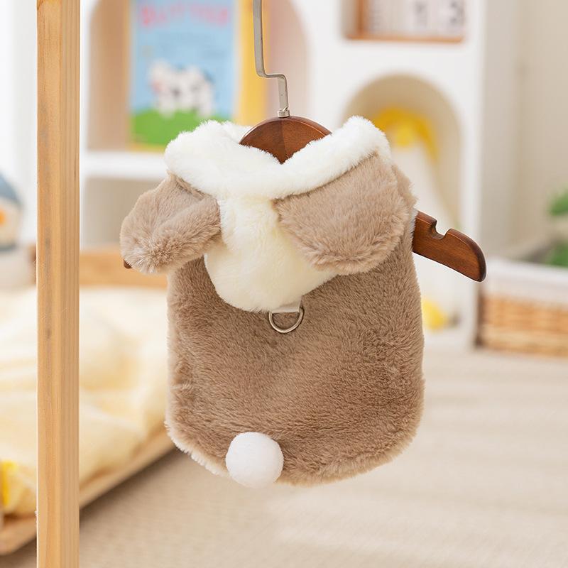 Autumn and winter ins wind dog clothes cute bear two-legged fleece thickened warm winter teddy pet clothes