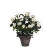 Plantes Artificielles En Pot - Mica Decorations - Rosier - H33 X Ø25 Cm - Blanc - Aspect Naturel