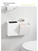 Wall-mounted Square Storage Box with Semi-lift Lid for Sundries, Bathroom Tissue, Mobile Phone, Trash Bag, Dustproof Storage