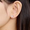 [SILVER925]Sculpture Cubic Earring