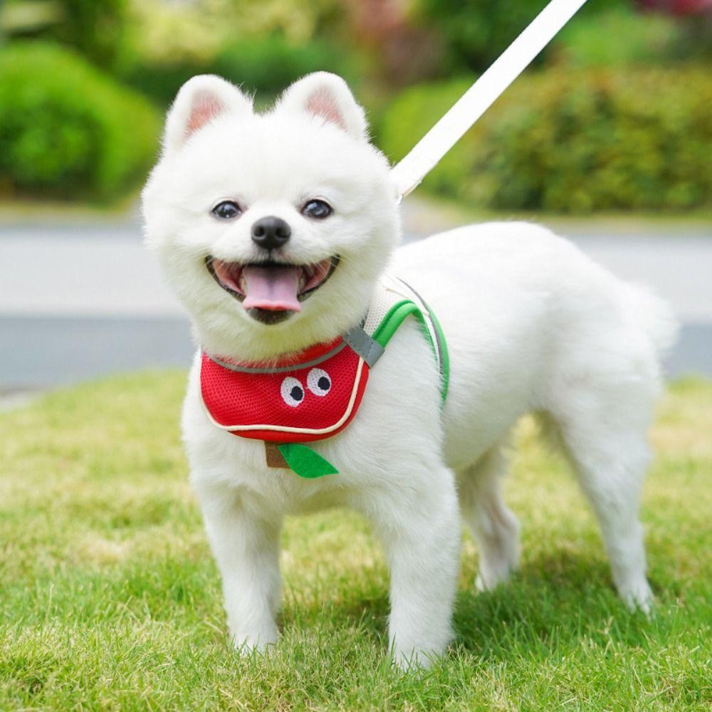 Cartoon Pet Vest Drool TowelBreathable Mesh No-Pull Dog Traction Rope With 1.2M Traction Rope All-Season Pet Harness Daily Walk