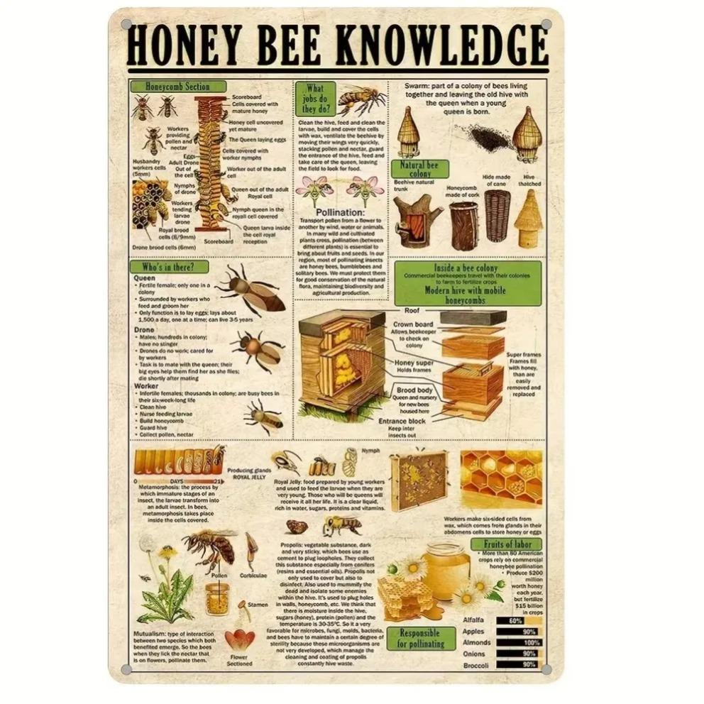 "BEEKNOWWITEDGE Bee Knowledge Sign" – Decor for Homes, Restaurants    Eco-Lovers; Ideal Wit Gift