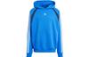 Originals ADILENIUM Sweatshirt Men's Bird Feather Blue IW3647
