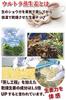 ginger black tea 60 tea bags Bandou Tea Garden Caffeine-free Additive-free, sugar-free, fragrance-free