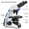 Lixun Professional High-Power Flat-Field Optical Microscope