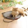 Round Shape Cat Scratcher Mat Sofa Furniture Protector Claw Care Cat Scratching Board Pet Supplies For Indoor