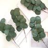 Artificial Eucalyptus Leaves Stems Real Touch Faux Greenery Branches for Vase Wedding Bouquet Flower Arrangement Home Office Spring Centerpiece